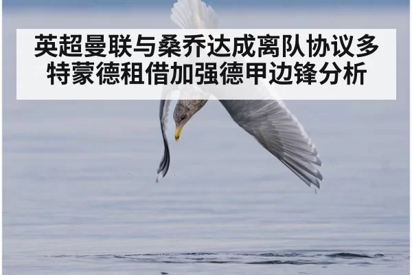 英超曼联与桑乔达成离队协议多特蒙德租借加强德甲边锋分析