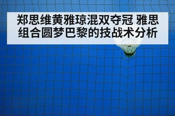 badminton net play